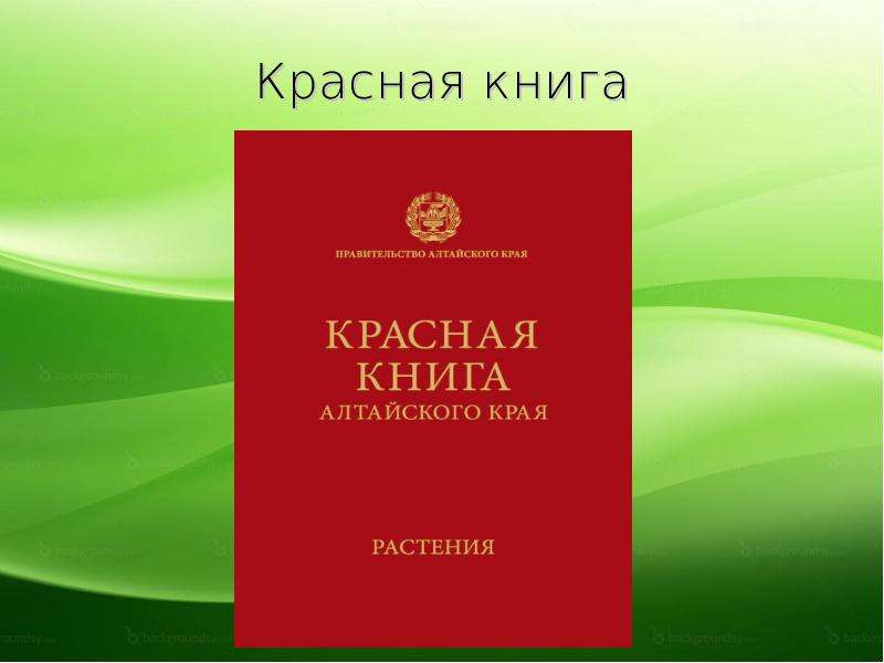 Красная книга алтайского края проект для 4 класса по окружающему миру