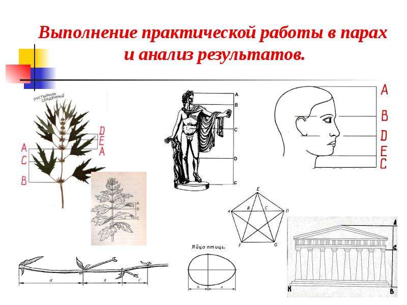 Обобщающий урок изо 6 класс презентация