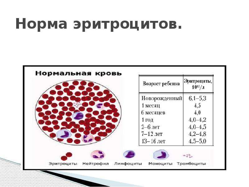 Повышенные эритроциты у женщин. Норма анализа крови анемия эритроцитов. Общий анализ крови эритроциты норма у женщин. Эритроциты 5.2 норма. Норма эритроцитов в мкл крови.