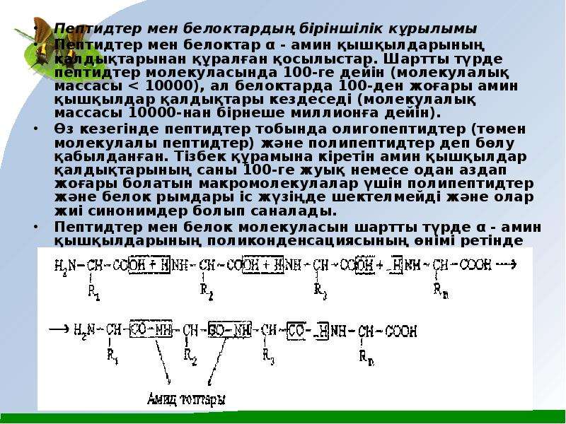 Амин қышқылдары презентация