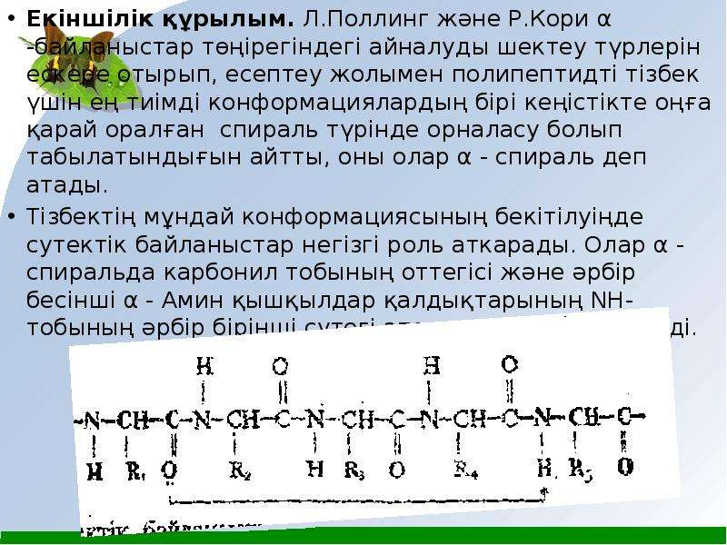 Амин қышқылдары презентация