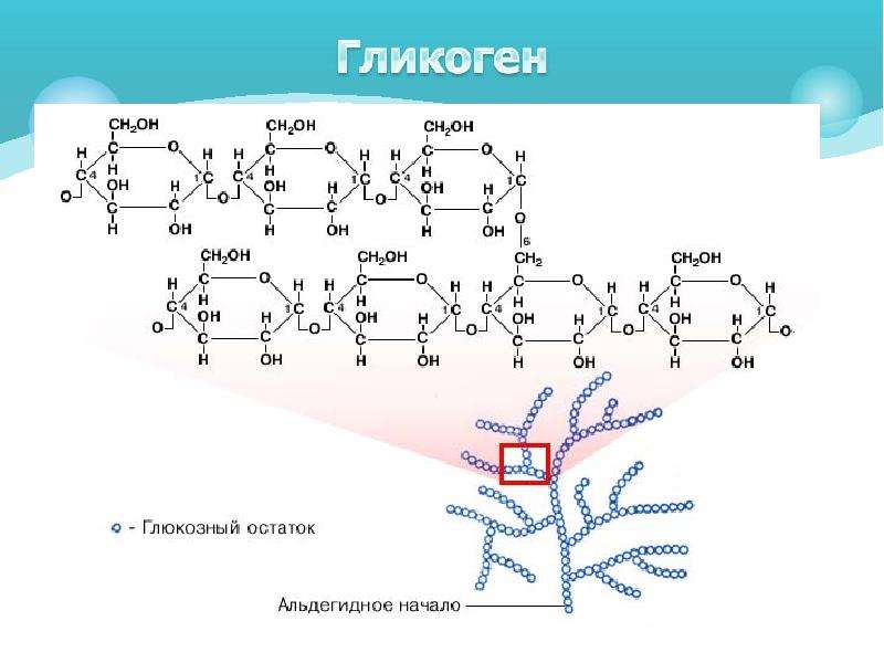 Строение углеводов. Углеводы схема строения. Строение углеводов химия. Гликоген это углевод. Особенности строение углеводных компонентов.