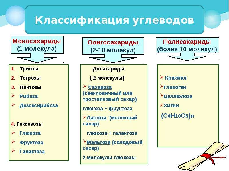 На основе текста параграфа и анализа иллюстраций составьте схему отражающую классификацию углеводов