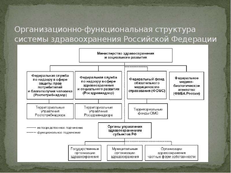 Организационно-функциональная структура системы здравоохранения Российской Федерации
