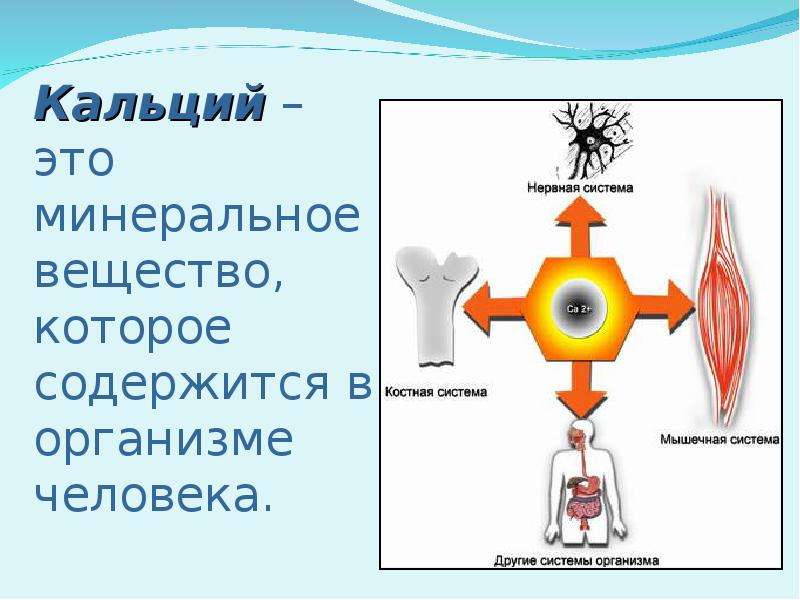 Ca это. Минеральные вещества кальций. Кальций доклад. Кальций химия. Кальций сообщение по химии.