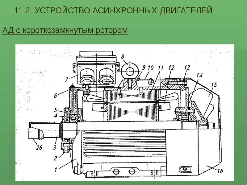 Асинхронная машина с короткозамкнутым. Устройство асинхронного двигателя с короткозамкнутым ротором. Асинхронный двигатель с короткозамкнутым ротором принцип. Устройство асинхронного двигателя с короткозамкнутым ротором схема. Устройство роторов асинхронных машин с короткозамкнутым ротором.