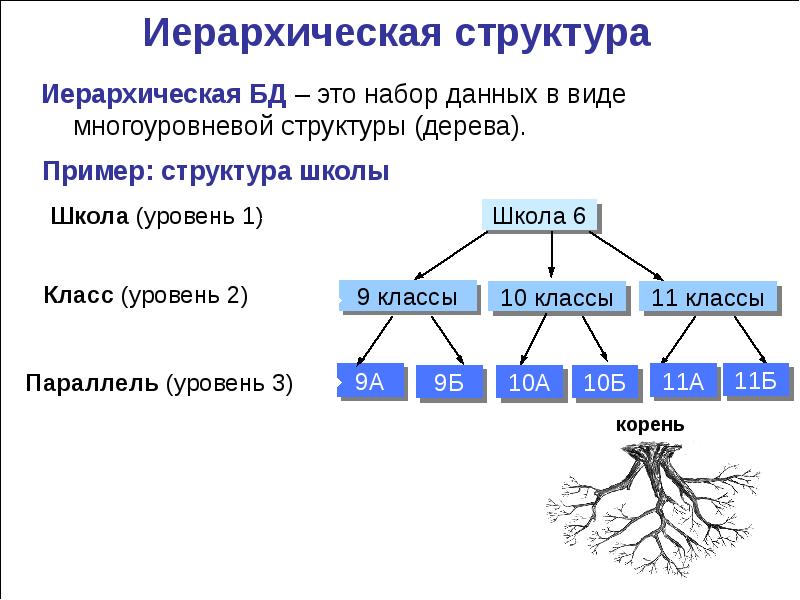 К иерархической базе данных относится схема граф