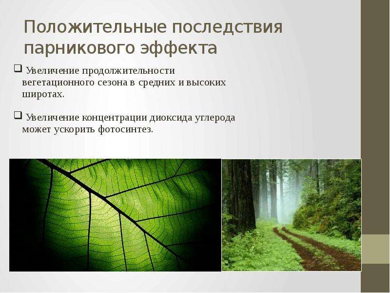 Последствия усиления парникового эффекта. Парниковый эффект и фотосинтез. Положительные качества парникового эффекта. Явление увеличения концентрации.