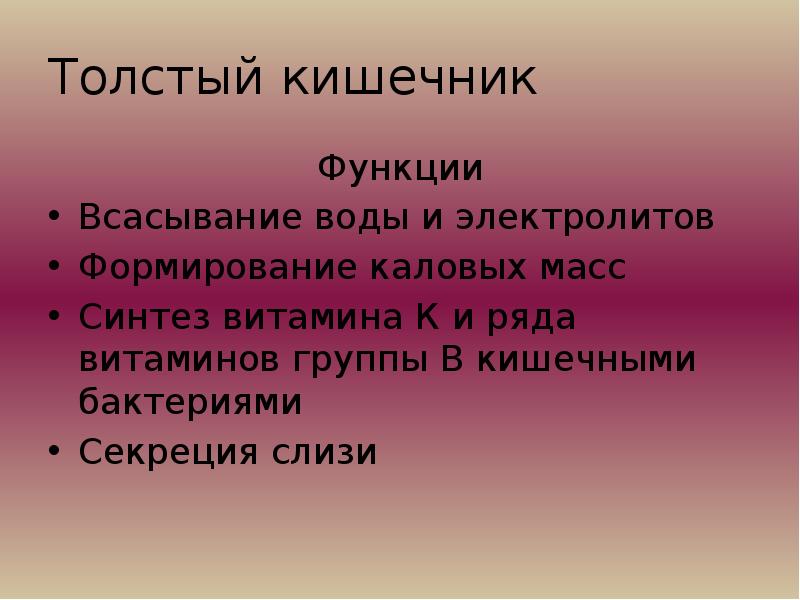 Бактерии толстого кишечника синтезируют витамины