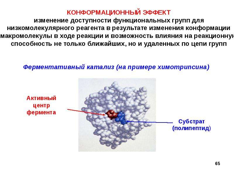 Эффект изменения. Конформационный эффект. Конформационная лабильность ферментов. Конформационные изменения. Функциональные группы макромолекул.