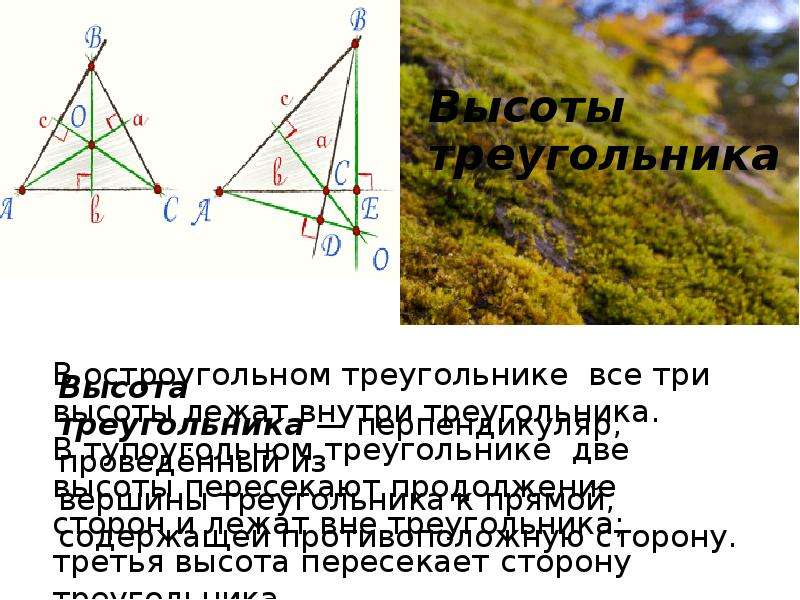 Свойства пересекающихся высот