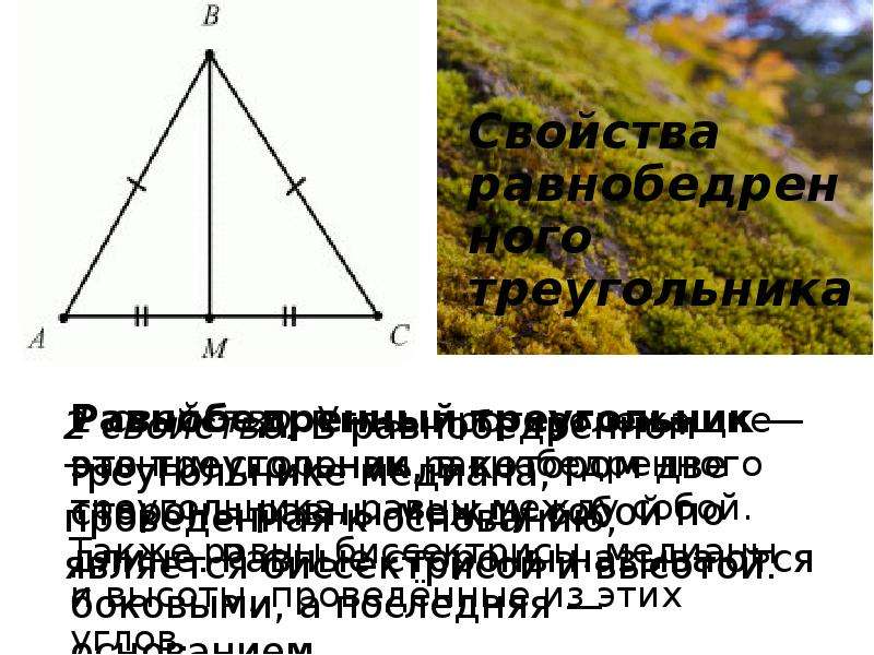 Луч fk является биссектрисой угла tfn изображенного на рисунке угол mft 42