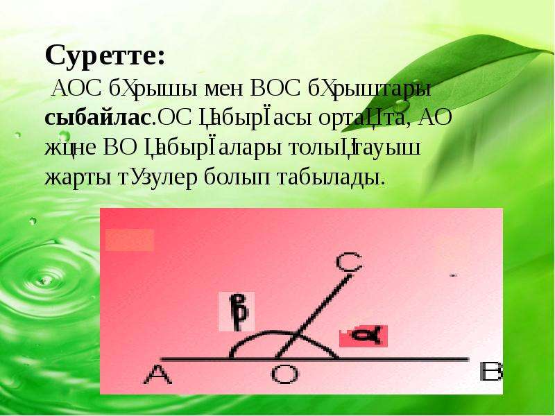 Бұрыш 5 сынып есептер