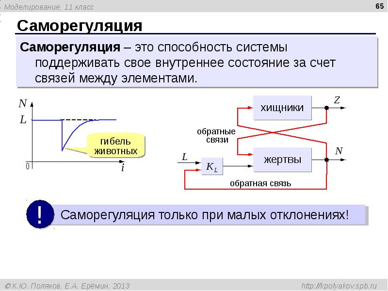 Моделирование презентация 11 класс