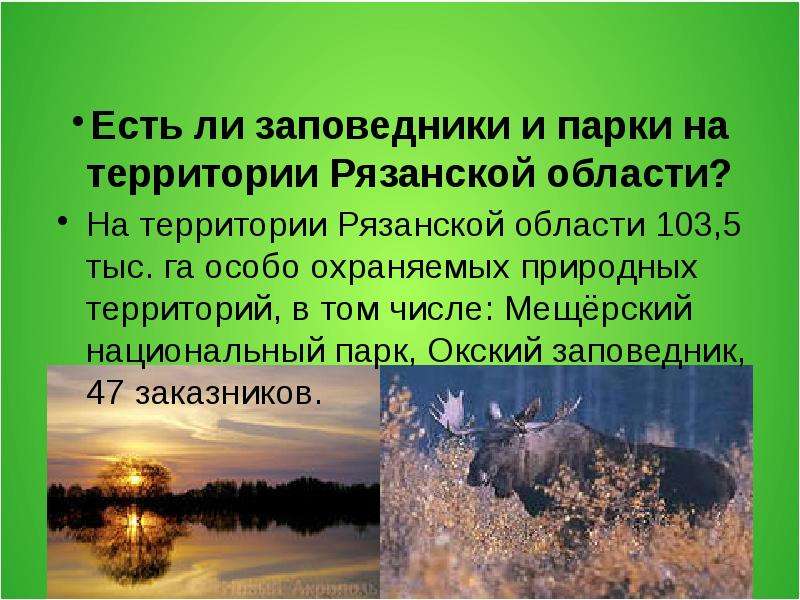 24 мая международный день заповедников презентация