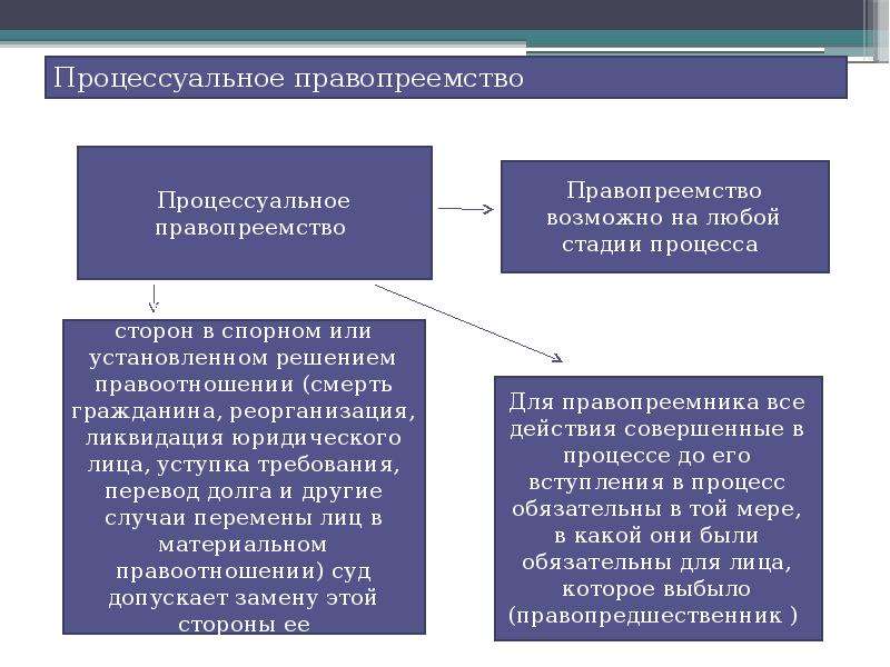 Процессуальное правопреемство образец