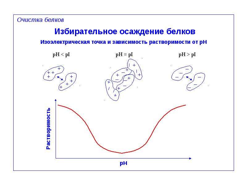 Точка зависеть. Изоэлектрическое осаждение белков. Изоэлектрическое осаждение белка. Осаждение белков в изоэлектрической точке. Избирательное осаждение белков принцип.