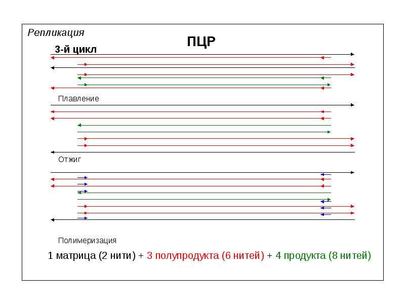 Репликация linux. Матрица репликации. Отжиг ПЦР. Плавление и отжиг ДНК.