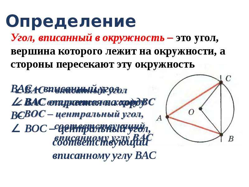 2 угла вписанного в окружность. Вписанные и описанные углы 8 класс теория. Вписанные углы теория. Углы в окружности. Вписанный угол окружности.