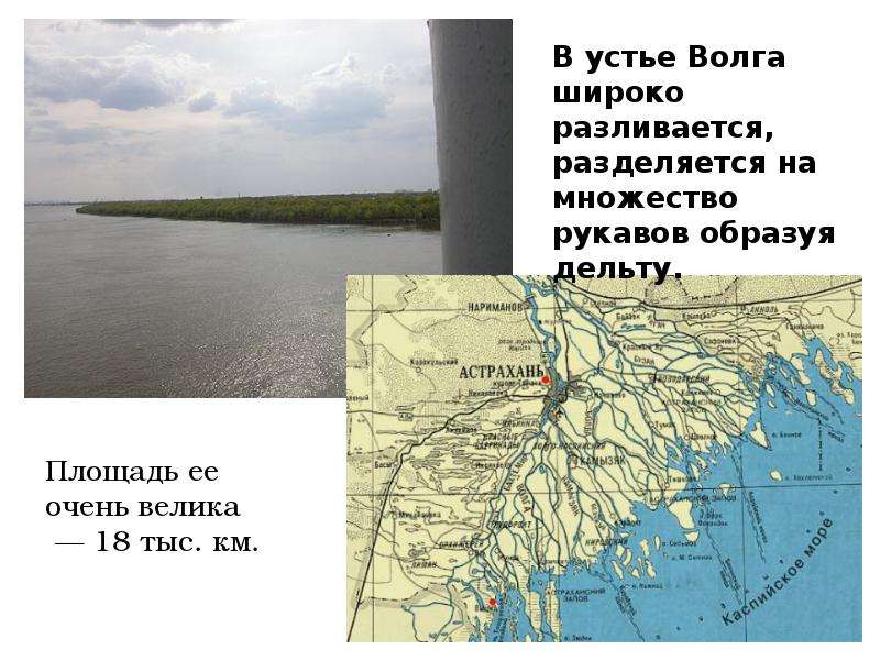 Устье волги