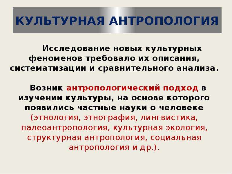 Культурная антропология