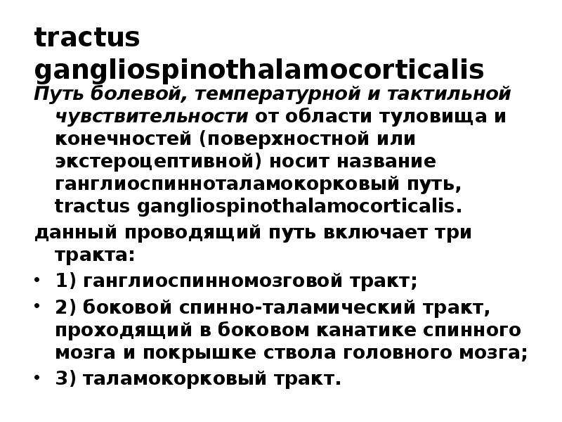 Tractus gangliospinothalamocorticalis схема