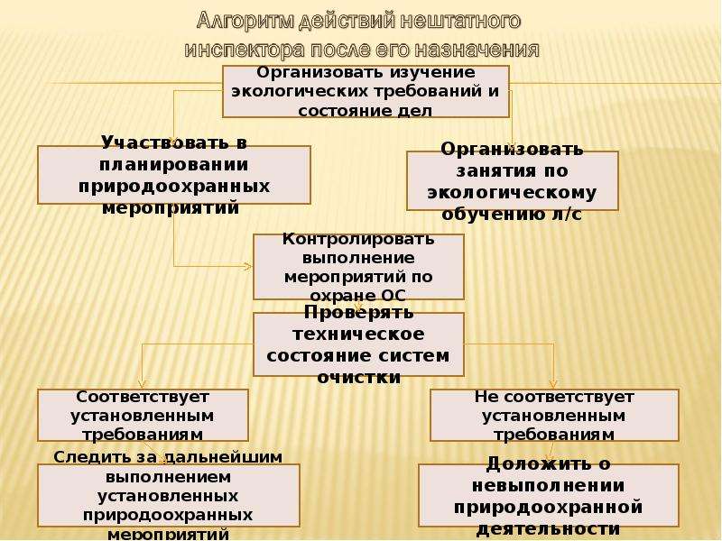 Обеспечение охраны окружающей и экологической безопасности