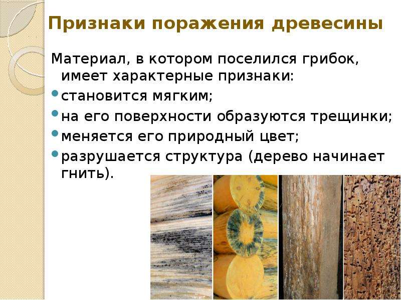 Признаки стали