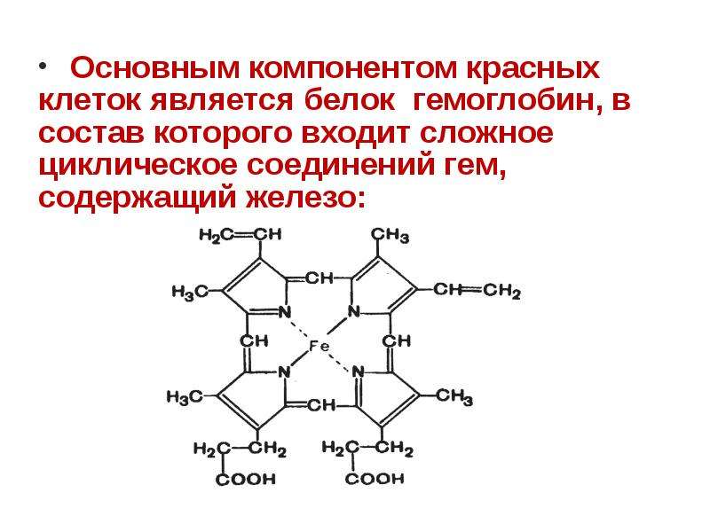 Состав гемоглобина