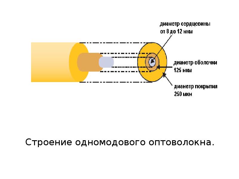 Разместите названия оптических структур