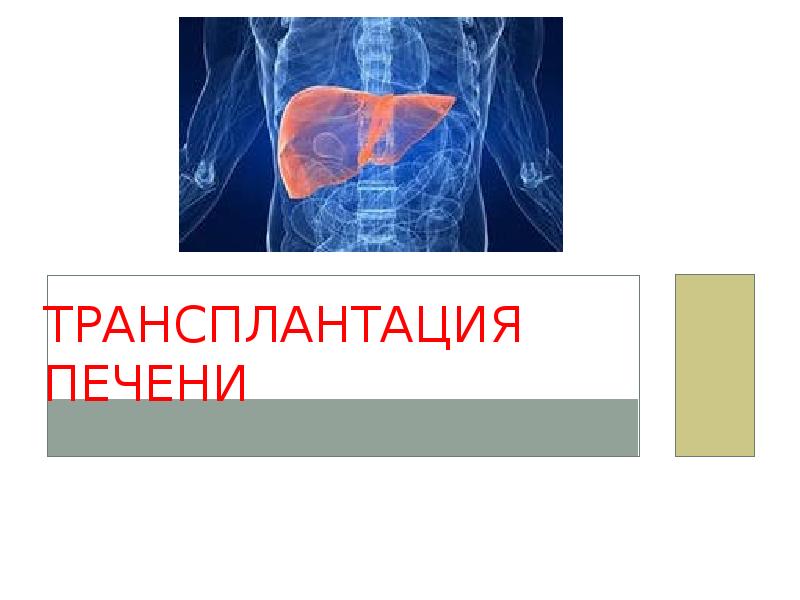 Трансплантация печени отзывы