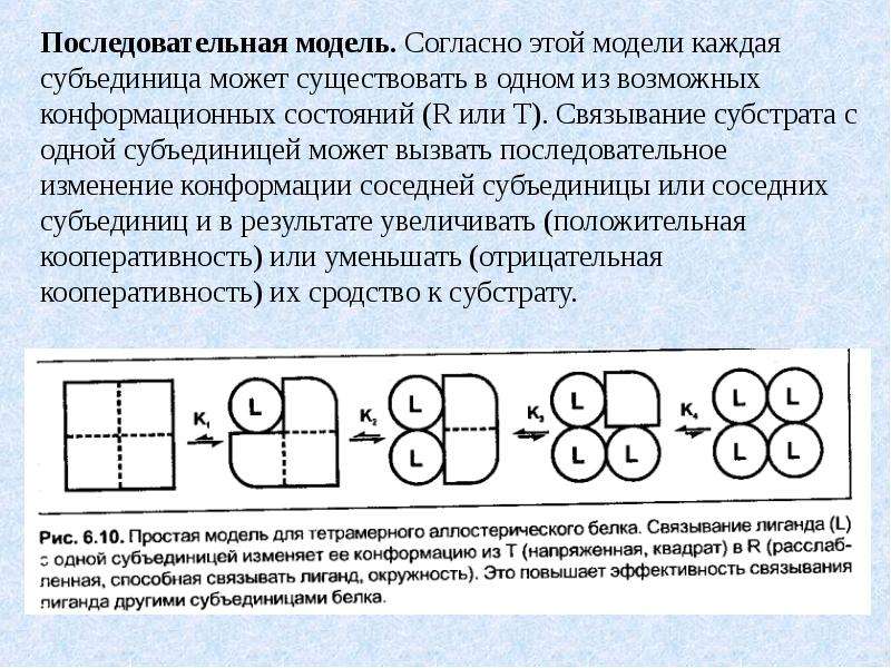 Согласно модели. Кооперативные изменения конформации гемоглобина. Кооперативность изменения конформации протомеров. Кооперативные изменения конформации белков. Кооперативные изменения конформации протомеров биохимия.