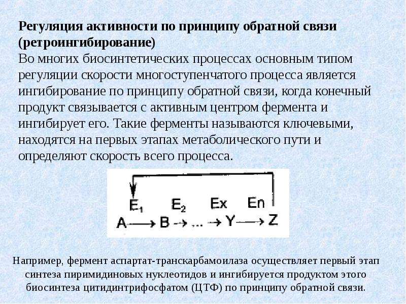 Регуляция активности. Ретроингибирование ферментов. Регуляция по принципу обратной связи. Регуляция активности ферментов по принципу обратной связи. Ингибирование по принципу обратной связи.