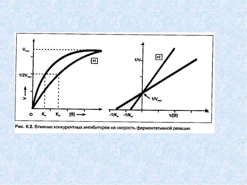 Конкурентное влияние. Влияние ингибиторов на скорость ферментативной реакции. Влияние активаторов и ингибиторов на активность ферментов. Влияние на скорость ферментативной реакции. Влияние ингибиторов на скорость химических реакций.
