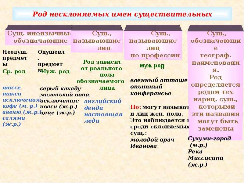 Роды несклоняемых существительных