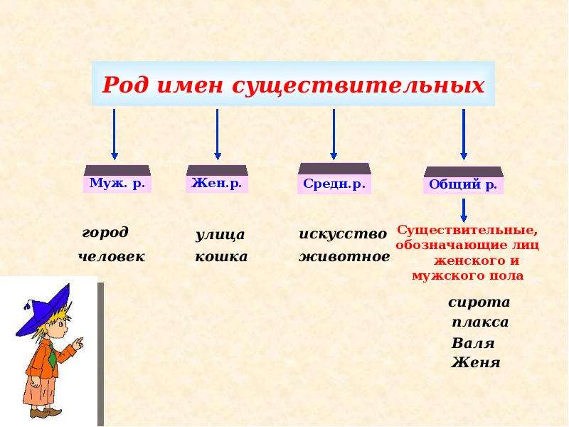 Форма рода существительного