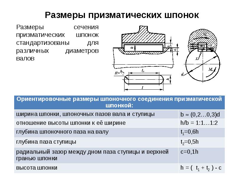 Как выглядит шпонка