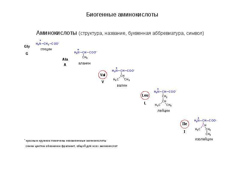 Структура аминокислот. Биогенные аминокислоты таблица. Биогенные аминокислоты. Биогенные Амины биохимия таблица. 20 Биогенных аминокислот.