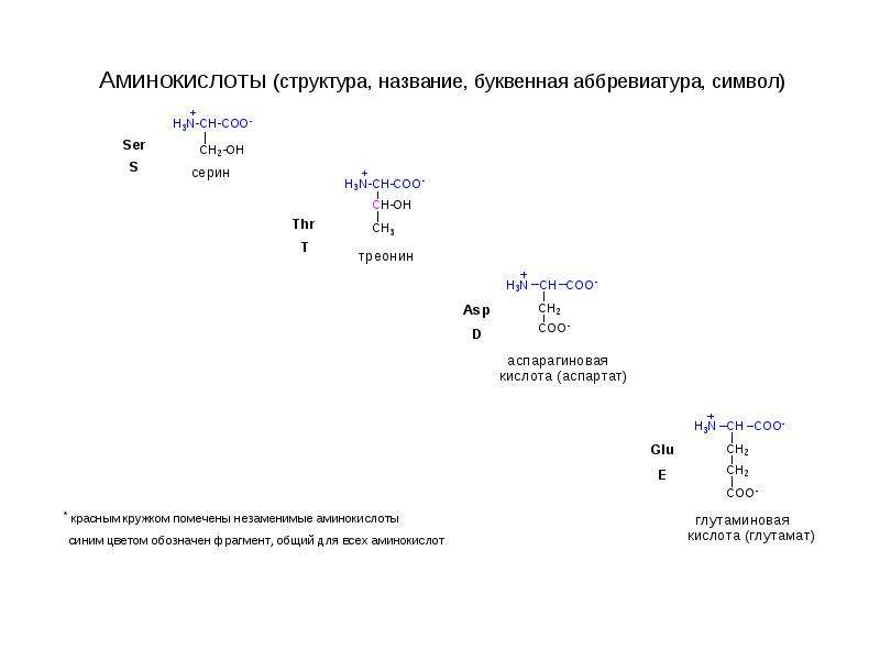 Строение аминокислоты схема