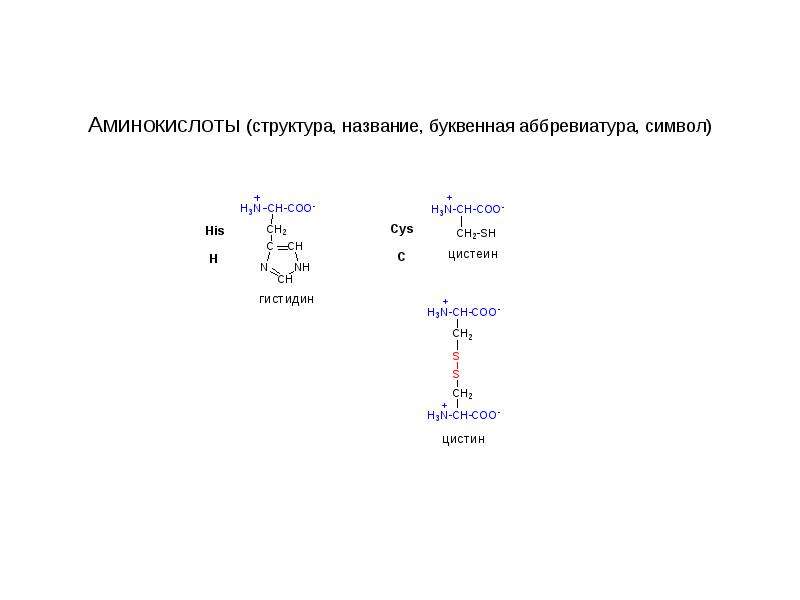 Строение аминокислоты схема