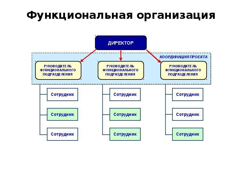 Функциональная организация зданий. Функциональная организация. Функциональный и организационный объем проекта. Функциональная организация города. Функциональная организация компьютера.