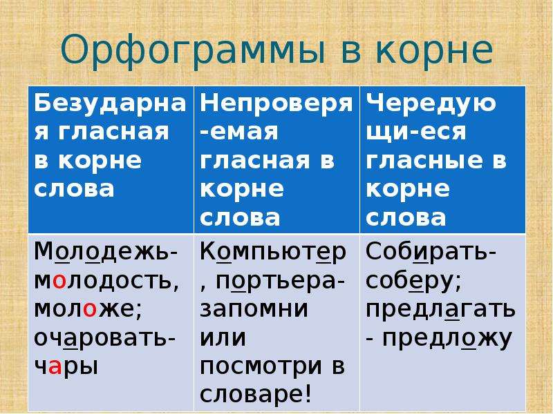 Две группы орфограмм примеры