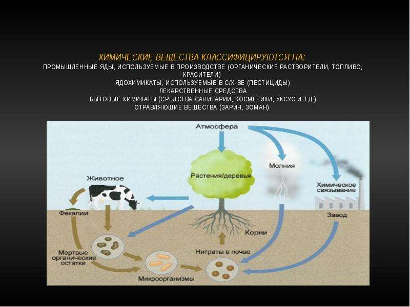 Химические вещества и здоровье человека