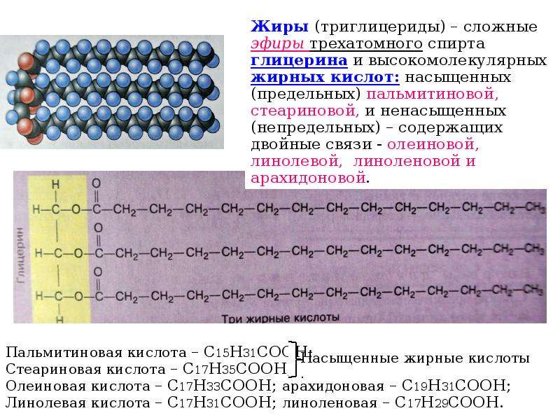 Строение содержание