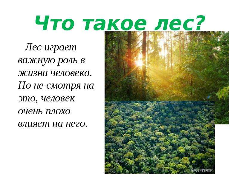 Лес определение. Человек в лесу. Лес в жизни человека презентация. Лес играет важную роль в жизни человека. Сохранение леса.