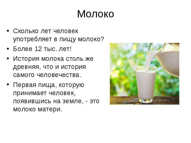 Сколько лет молочному. История молока презентация. Молоко каких животных человек употребляет в пищу. Сколько лет молоко. Какое молоко употребляет человек в пищу.