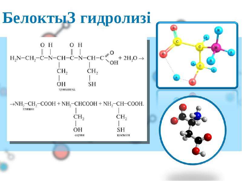 Гормондар биохимиясы презентация