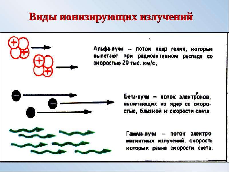 Проект размещения источника ионизирующего излучения