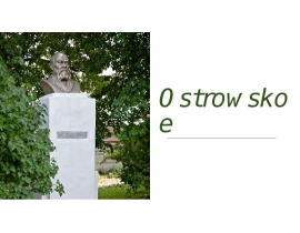 Der Bezirk Ostrowskoe