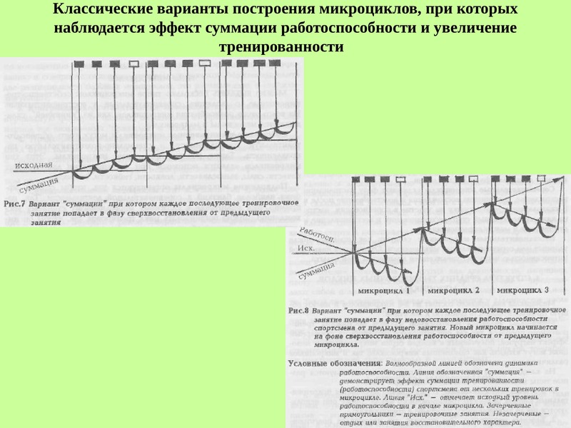 Варианты построения. B7 варианты построения. Работоспособность и биохимические способы ее повышения. Варианты построения людей Клин.